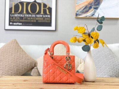 Dior Lady Abcdior Orange Ss2022