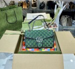 Gucci Marmont Mutil Color
