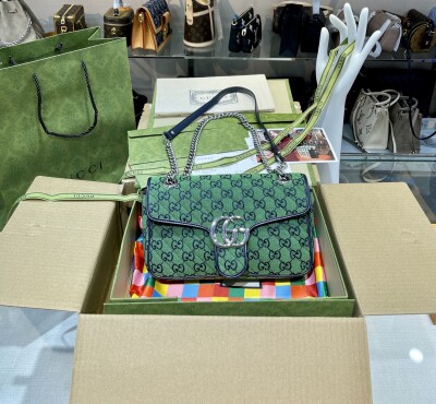 Gucci Marmont Mutil Color