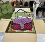 Gucci Marmont Mutil Color